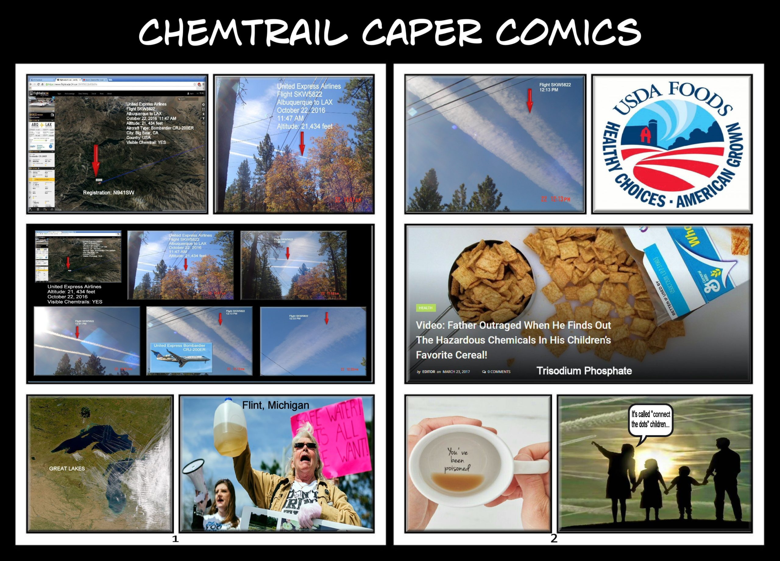 CHEMTRAIL CAPER COMICS