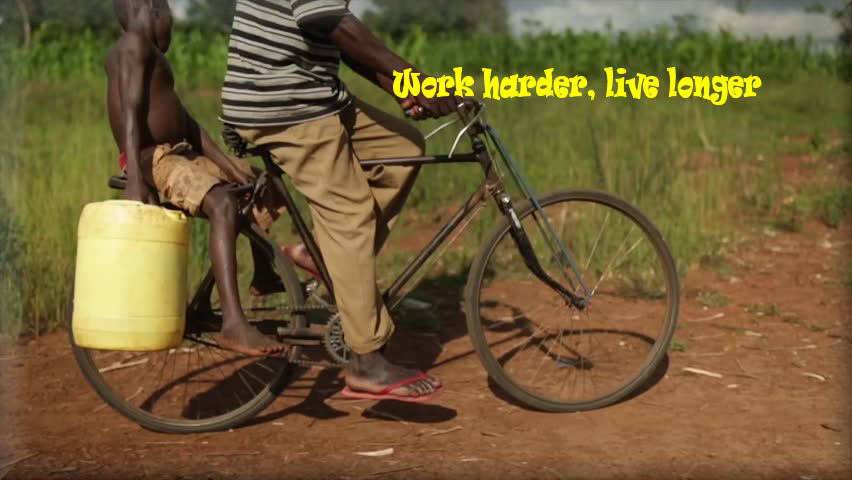 Work Harder, Live Longer