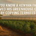 Kenyan Farmer Adapts the Genius of Termite Architects
