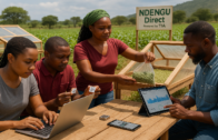 AI Mentorship – Restoring African Agency